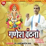 Ganesh Vandana - Pt. Harinath Jha Song Download